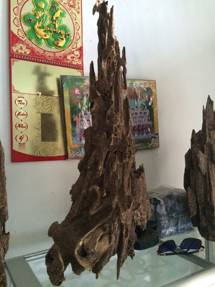 13592453 1806602599626107 2487577987062006594 n