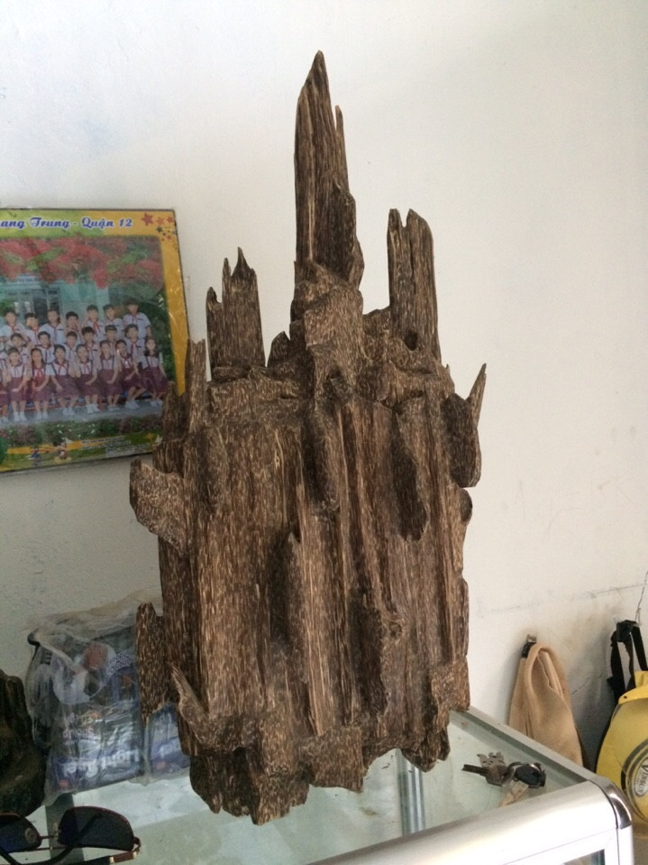 13592684 1806602646292769 2068256588084374652 n