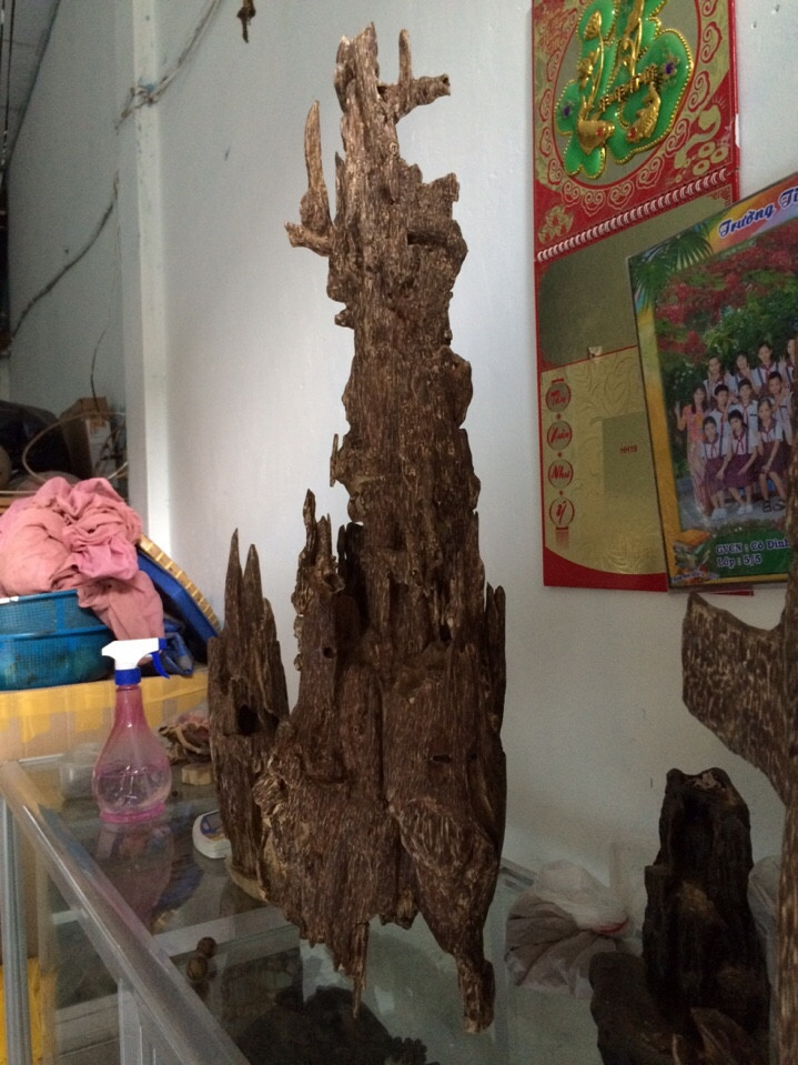 13600026 1806602619626105 5975408060405281128 n