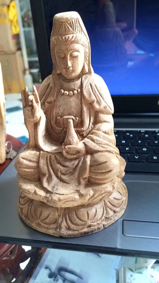 13600330 1806603289626038 3910005439138193412 n